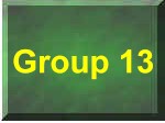 Group 13