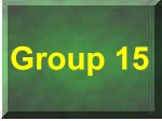 Group 15