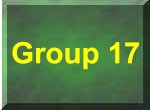 Group 17