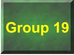 Group 19