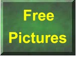 Free Pictures